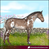 Horse Color:White Spotted Liver Red Dun Mushroom Brindle