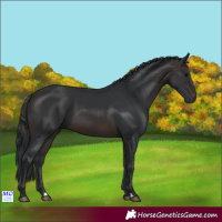Horse Color:Brown 