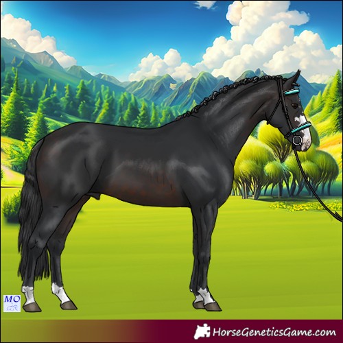 Horse Color:Brown 
