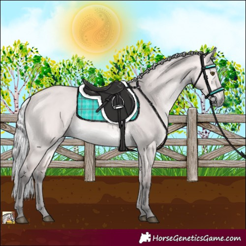Horse Color:Platinum Silver Buckskin Dun 