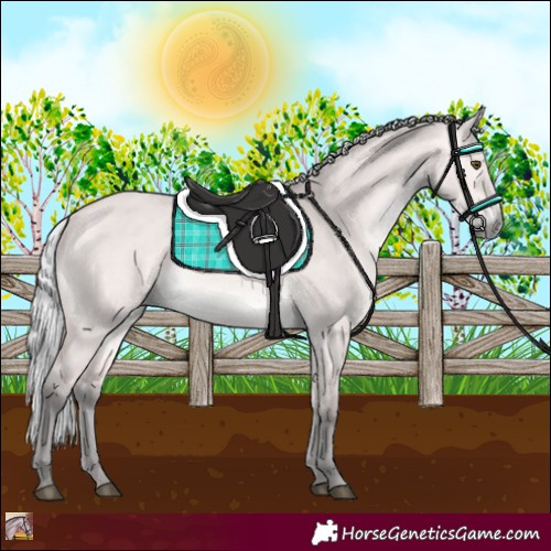 Horse Color:Platinum Silver Buckskin Dun 