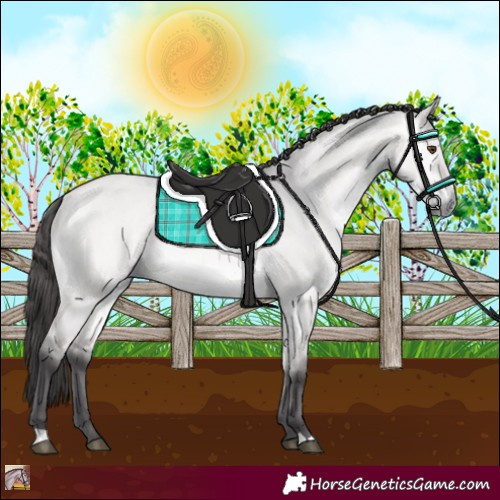 Horse Color:Platinum Buckskin Dun 