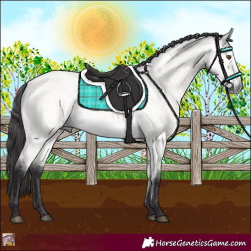 Horse Color:Platinum Buckskin Dun 