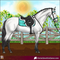 Horse Color:Platinum Buckskin Dun 