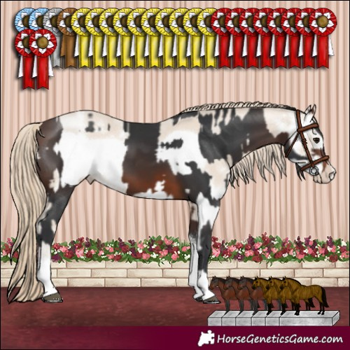 Horse Color:Brown Tobiano Rabicano  and Smoky Creme Sabino Frame Rabicano 