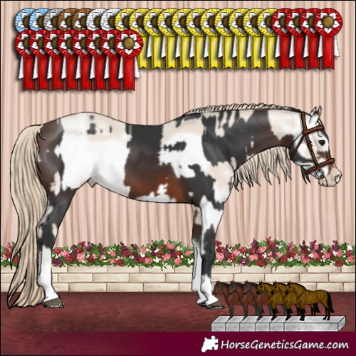 Horse Color:Brown Tobiano Rabicano  and Smoky Creme Sabino Frame Rabicano 
