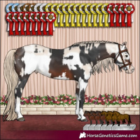 Horse Color:Brown Tobiano Rabicano  and Smoky Creme Sabino Frame Rabicano 