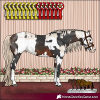 Horse Color:Brown Tobiano Rabicano and Smoky Creme Sabino Frame Rabicano