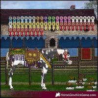 Horse Color:Brown Tobiano Rabicano  and Smoky Creme Sabino Frame Rabicano 