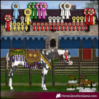 Horse Color:Brown Tobiano Rabicano  and Smoky Creme Sabino Frame Rabicano 