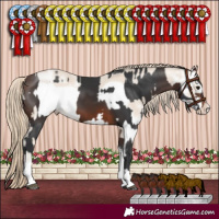 Horse Color:Brown Tobiano Rabicano  and Smoky Creme Sabino Frame Rabicano 