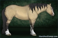 Horse Color:Buckskin Dun Sabino 