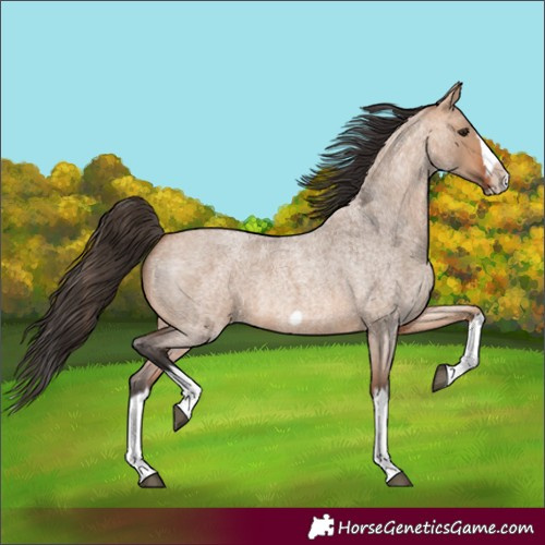 Horse Color:Bay Roan Dun Splash Frame 