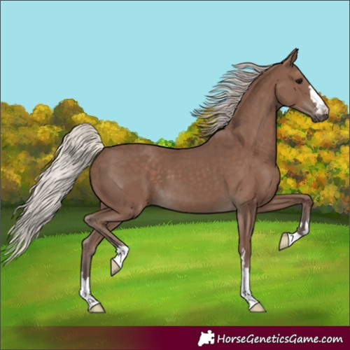 Horse Color:Silver Black 