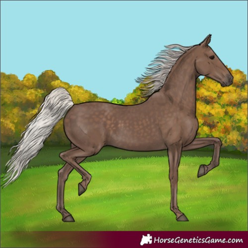 Horse Color:Silver Black 
