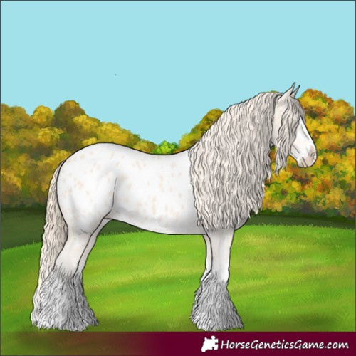 Horse Color:Perlino Splash Appaloosa 