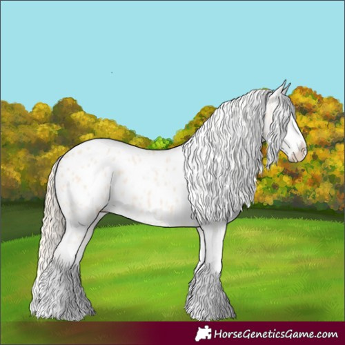 Horse Color:Perlino Splash Appaloosa 