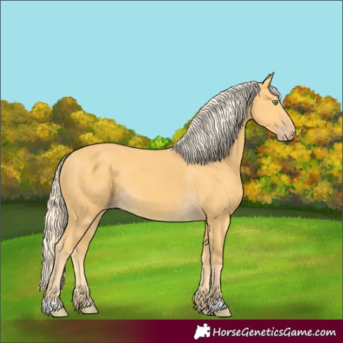 Horse Color:Unknown 