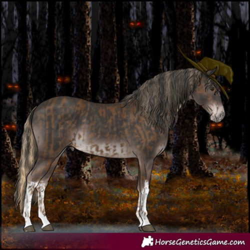 Horse Color:Chocolate Palomino Splash and Platinum White Spotted Liver Chestnut