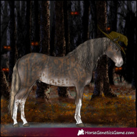 Horse Color:Chocolate Palomino Splash and Platinum White Spotted Liver Chestnut