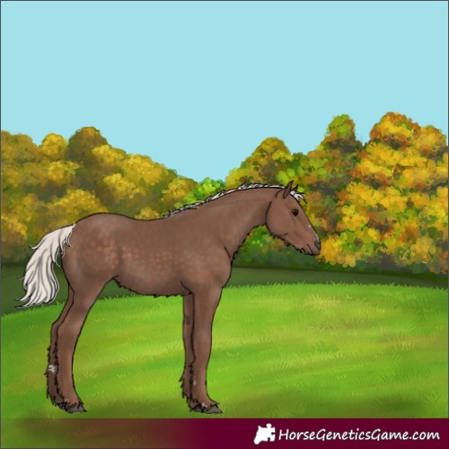 Horse Color:Silver Black 