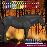 Horse Color:Black 