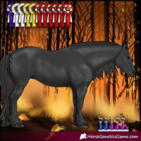 Horse Color:Black 