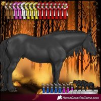 Horse Color:Black 
