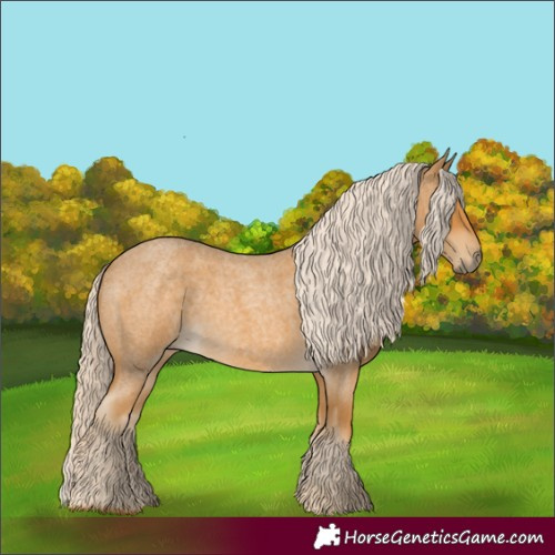 Horse Color:Palomino Roan 