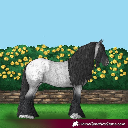 Horse Color:Blue Roan Blanket