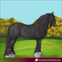 Horse Color:Black Varnish Rabicano 