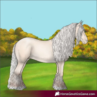 Horse Color:Silver Sable Cream Champagne Pearl 