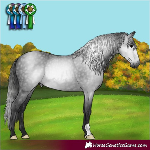 Horse Color:Gray Black 