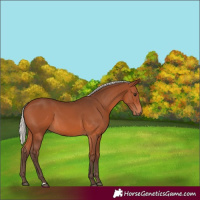 Horse Color:Silver Brown 