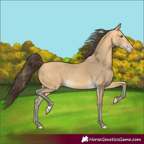 Horse Color:Amber Cream Champagne 