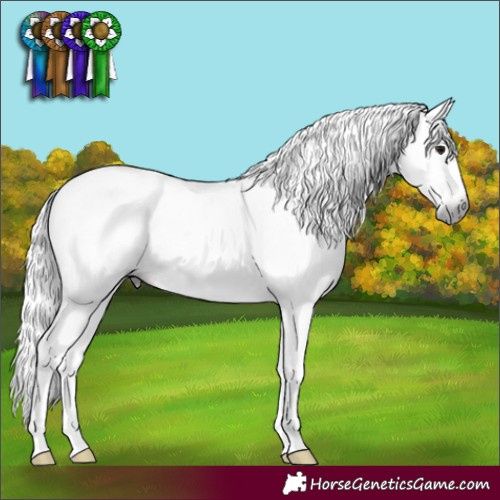 Horse Color:Gray Brown Splash Tobiano Rabicano 
