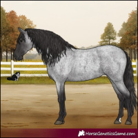 Horse Color:Smoky Blue Roan 