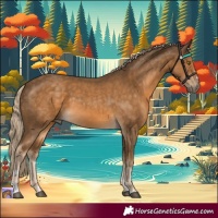 Horse Color:Chocolate Palomino