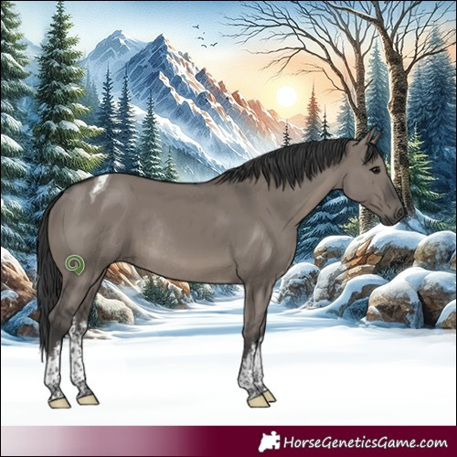 Horse Color:White Spotted Grullo Tobiano Rabicano 