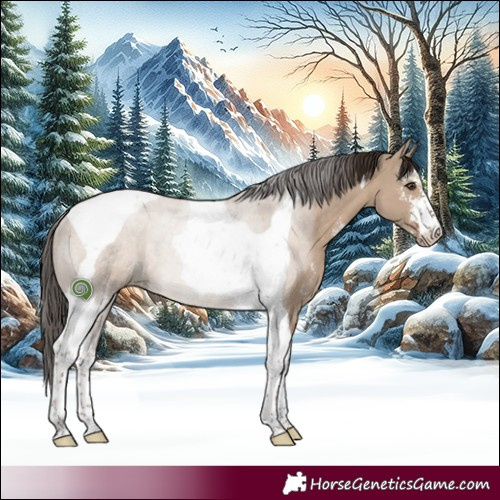 Horse Color:Liver Red Dun Sabino Tobiano Rabicano 