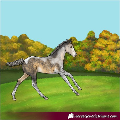 Horse Color:Silver Buckskin Sabino Tobiano