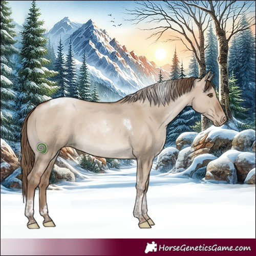 Horse Color:Grullo Pearl Tobiano Rabicano 
