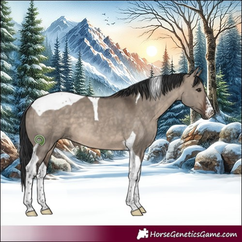 Horse Color:White Spotted Brown Dun Tobiano