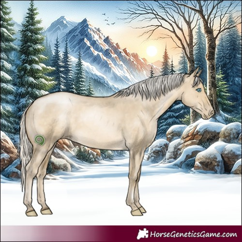 Horse Color:Silver Smoky Grullo Pearl Rabicano 