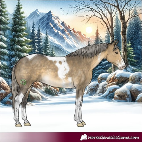 Horse Color:Silver Buckskin Dun Sabino Tobiano Rabicano 