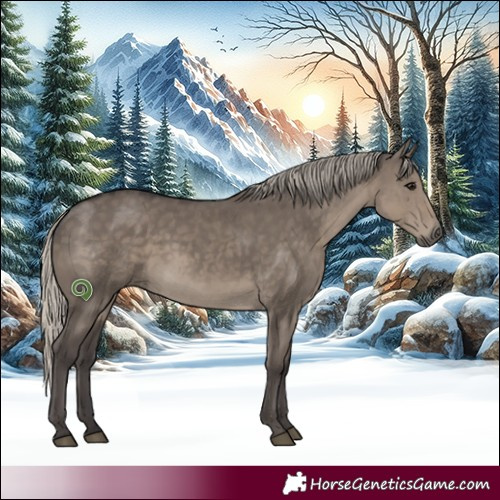 Horse Color:White Spotted Silver Smoky Grullo Rabicano