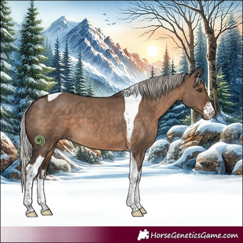Horse Color:White Spotted Silver Brown Dun Tobiano 