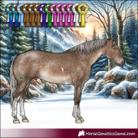Horse Color:White Spotted Silver Brown Dun Tobiano Rabicano 