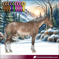 Horse Color:White Spotted Silver Brown Dun Tobiano Rabicano 