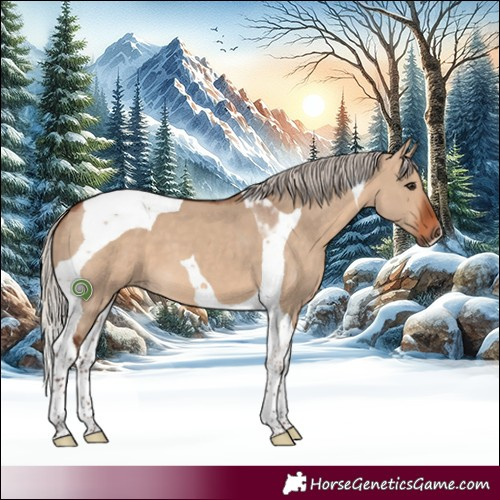 Horse Color:Silver Bay Dun Tobiano